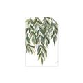Picture of Lovely Leaves II _GroupedProduct_Rectangle_Portrait_Unframed_Print_Only_
