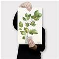 Picture of Golden Greens I _GroupedProduct_Rectangle_Portrait_Canvas_