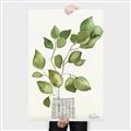 Picture of Golden Greens I _GroupedProduct_Rectangle_Portrait_Canvas_