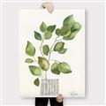 Picture of Golden Greens I _GroupedProduct_Rectangle_Portrait_Canvas_
