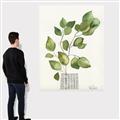 Picture of Golden Greens I _GroupedProduct_Rectangle_Portrait_Canvas_