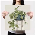Picture of Plant in Black Pot II _GroupedProduct_Square_Canvas_