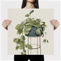 Picture of Plant in Black Pot II _GroupedProduct_Square_Canvas_