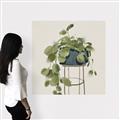 Picture of Plant in Black Pot II _GroupedProduct_Square_Canvas_