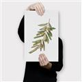 Picture of Olive Branch _GroupedProduct_Rectangle_Portrait_Canvas_