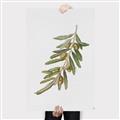 Picture of Olive Branch _GroupedProduct_Rectangle_Portrait_Canvas_