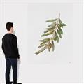 Picture of Olive Branch _GroupedProduct_Rectangle_Portrait_Canvas_