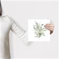 Picture of Botanical Burst I _GroupedProduct_Square_Canvas_