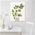 Picture of Golden Greens I _GroupedProduct_Rectangle_Portrait_Canvas_