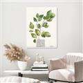 Picture of Golden Greens I _GroupedProduct_Rectangle_Portrait_Canvas_
