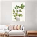 Picture of Golden Greens I _GroupedProduct_Rectangle_Portrait_Canvas_