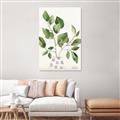 Picture of Golden Greens II _GroupedProduct_Rectangle_Portrait_Canvas_