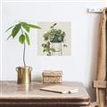 Picture of Plant in Black Pot II _GroupedProduct_Square_Canvas_