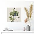 Picture of Plant in Black Pot II _GroupedProduct_Square_Canvas_