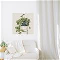 Picture of Plant in Black Pot II _GroupedProduct_Square_Canvas_