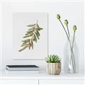 Picture of Olive Branch _GroupedProduct_Rectangle_Portrait_Canvas_