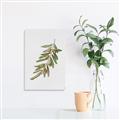 Picture of Olive Branch _GroupedProduct_Rectangle_Portrait_Canvas_