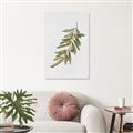Picture of Olive Branch _GroupedProduct_Rectangle_Portrait_Canvas_