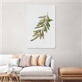 Picture of Olive Branch _GroupedProduct_Rectangle_Portrait_Canvas_