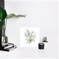 Picture of Botanical Burst I _GroupedProduct_Square_Canvas_