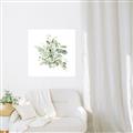Picture of Botanical Burst II _GroupedProduct_Square_Canvas_