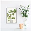Picture of Golden Greens I _GroupedProduct_Rectangle_Portrait_Canvas_Framed_