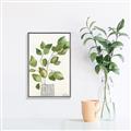 Picture of Golden Greens I _GroupedProduct_Rectangle_Portrait_Canvas_Framed_