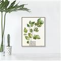 Picture of Golden Greens I _GroupedProduct_Rectangle_Portrait_Canvas_Framed_
