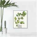 Picture of Golden Greens I _GroupedProduct_Rectangle_Portrait_Canvas_Framed_