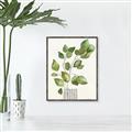 Picture of Golden Greens I _GroupedProduct_Rectangle_Portrait_Canvas_Framed_