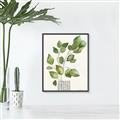 Picture of Golden Greens I _GroupedProduct_Rectangle_Portrait_Canvas_Framed_