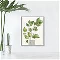 Picture of Golden Greens I _GroupedProduct_Rectangle_Portrait_Canvas_Framed_