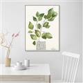 Picture of Golden Greens I _GroupedProduct_Rectangle_Portrait_Canvas_Framed_