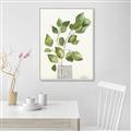 Picture of Golden Greens I _GroupedProduct_Rectangle_Portrait_Canvas_Framed_