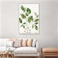 Picture of Golden Greens II _GroupedProduct_Rectangle_Portrait_Canvas_Framed_