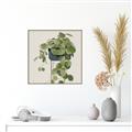 Picture of Plant in Black Pot I _GroupedProduct_Square_Canvas_Framed_