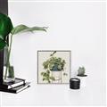 Picture of Plant in Black Pot II _GroupedProduct_Square_Canvas_Framed_