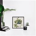 Picture of Plant in Black Pot II _GroupedProduct_Square_Canvas_Framed_
