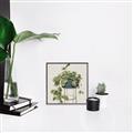 Picture of Plant in Black Pot II _GroupedProduct_Square_Canvas_Framed_