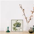 Picture of Plant in Black Pot II _GroupedProduct_Square_Canvas_Framed_