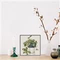Picture of Plant in Black Pot II _GroupedProduct_Square_Canvas_Framed_