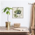 Picture of Plant in Black Pot II _GroupedProduct_Square_Canvas_Framed_