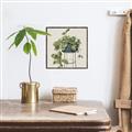Picture of Plant in Black Pot II _GroupedProduct_Square_Canvas_Framed_