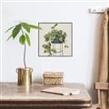 Picture of Plant in Black Pot II _GroupedProduct_Square_Canvas_Framed_