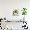 Picture of Plant in Black Pot II _GroupedProduct_Square_Canvas_Framed_