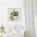 Picture of Plant in Black Pot II _GroupedProduct_Square_Canvas_Framed_