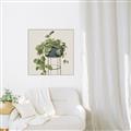 Picture of Plant in Black Pot II _GroupedProduct_Square_Canvas_Framed_