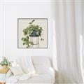 Picture of Plant in Black Pot II _GroupedProduct_Square_Canvas_Framed_