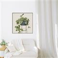 Picture of Plant in Black Pot II _GroupedProduct_Square_Canvas_Framed_