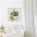 Picture of Plant in Black Pot II _GroupedProduct_Square_Canvas_Framed_